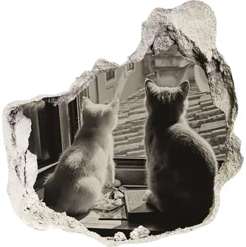 Fototapeta Díra 3D fototapeta nálepka Kočky u okna