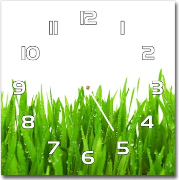 Hodiny Skleněné nástěnné hodiny čtverec Tráva