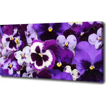 Obraz Foto obraz na plátně Fialky