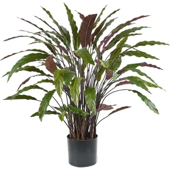 umělá květina Potzillas Calathea Rufibarba 85 cm