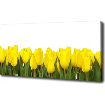 Obraz Foto obraz na plátně Žluté tulipány