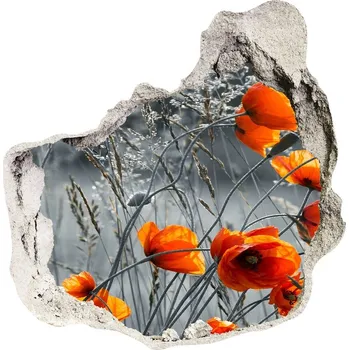 Fototapeta Samolepící nálepka Polné máky