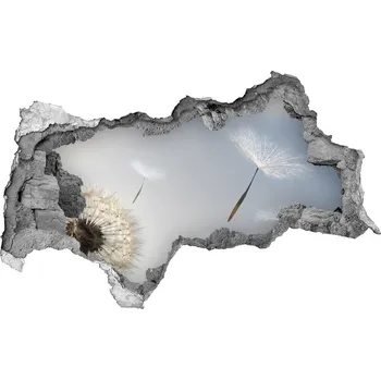 Fototapeta Fototapeta díra na zeď Pampeliška