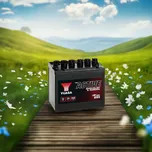 Baterie YUASA Garden 895, 12V, 26Ah