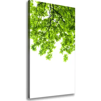 Obraz Vertikální Foto obraz canvas Koruna stromů