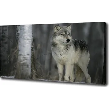 Obraz Foto obraz canvas Šedý vlk