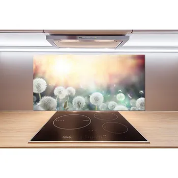 Obklad Panel do kuchyně Pole pampelišek