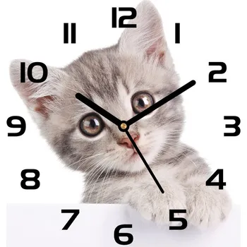 Hodiny Skleněné hodiny čtverec Šedá kočka
