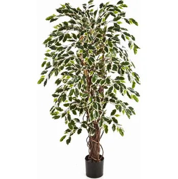 umělá květina Ficus Liana umělý V 150 cm