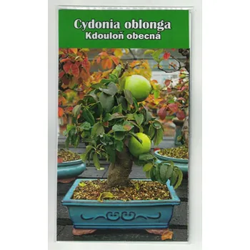 Semeno Kdouloň obecná