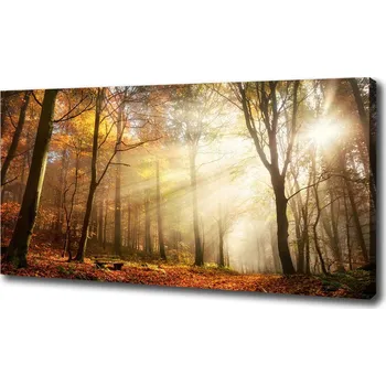 Obraz Foto obraz na plátně Mlha v lese