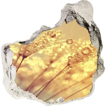 Fototapeta Nálepka 3D díra na zeď Semena pampelišky