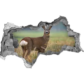 Fototapeta Díra 3D fototapeta na stěnu nálepka Srna