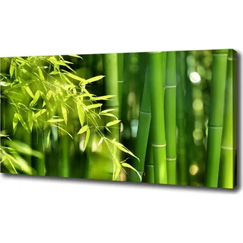 Obraz Foto obraz canvas Bambus