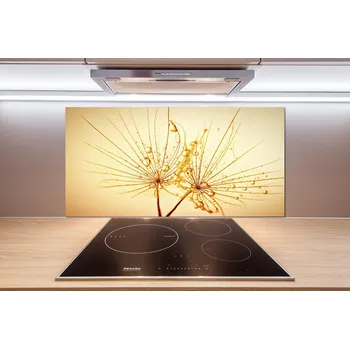 Obklad Panel do kuchyně Semeno pampelišky