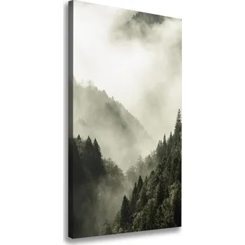 Obraz Vertikální Foto obraz na plátně Mlha nad lesem