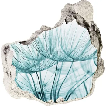 Fototapeta Samolepící díra nálepka Semena pampelišky