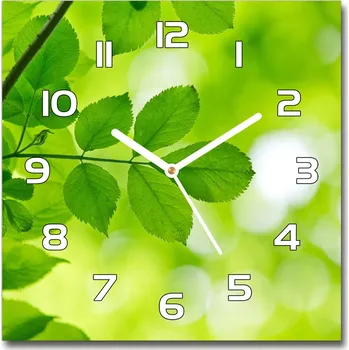Hodiny Skleněné hodiny čtverec Zelená listí