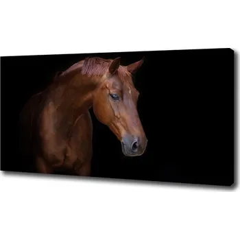 Obraz Foto obraz na plátně do obýváku Hnědý kůň