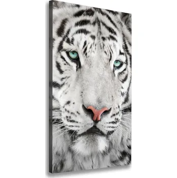 Obraz Vertikální Foto obraz canvas Bílý tygr