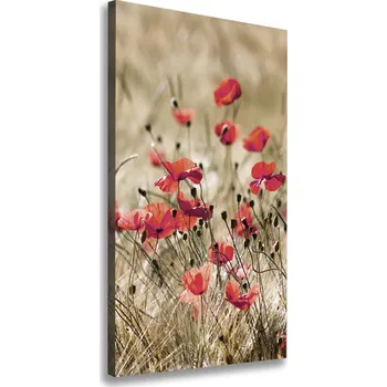 Obraz Vertikální Foto obraz canvas Polní květiny