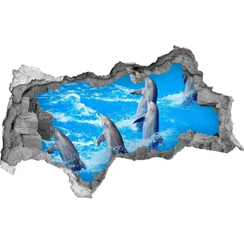 Fototapeta Díra 3D fototapeta na stěnu nálepka Delfíni