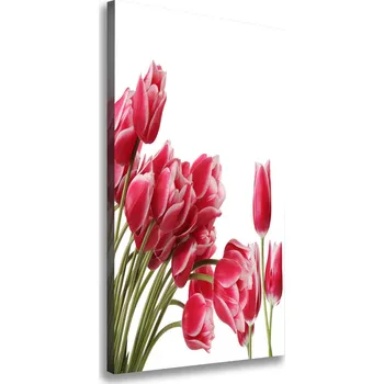Obraz Vertikální Foto obraz na plátně Červené tulipány