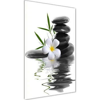 Obraz Foto obraz akrylový vertikální Orchidej a kameny