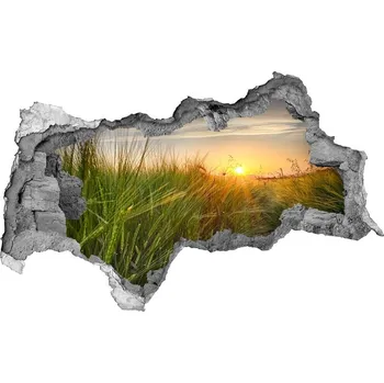 Fototapeta Nálepka fototapeta 3D výhled Pole pšenice