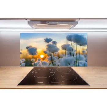 Obklad Skleněný panel do kuchynské linky Suchopýr