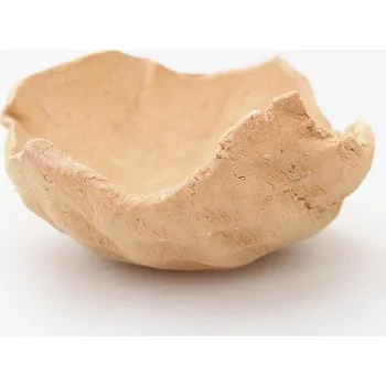 Květináč Keramická Skořápka 8 x 8,5 x 4,5 cm béžová 138727