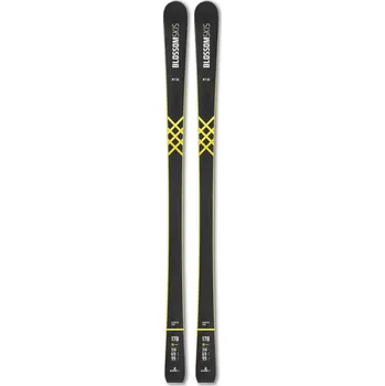 Sjezdové lyže BLOSSOM N1 GS SUPERFLEX + PROTECTOR 11 23/25 Délka lyží: 173 cm
