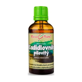 Doplněk stravy Bylinné kapky, s.r.o. Kadidlovník, Boswellia kapky (tinktura) 50ml