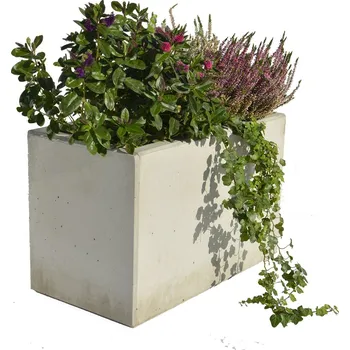 Truhlík Truhlík Roots