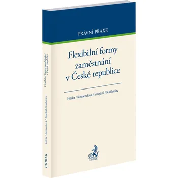 Flexibilní formy zaměstnání v České republice - Petr Hůrka, Vojtěch Kadlubiec, Jana Komendová, Michal Smejkal