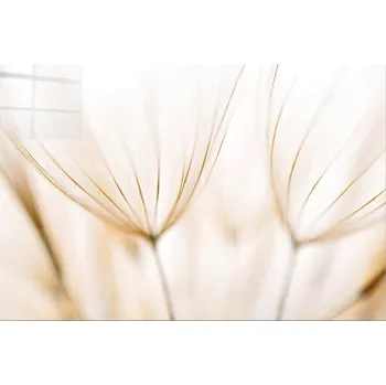 Obraz Skleněný obraz 100x70 cm Fluff – Wallity ID_1556190