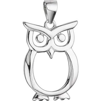 Oblečení a móda Evolution Group Stříbrný přívěsek sova 64034