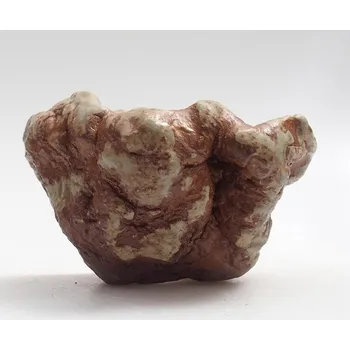 Květináč Keramická Skořápka 6 x 6 x 5 cm zelenohnědá 100009