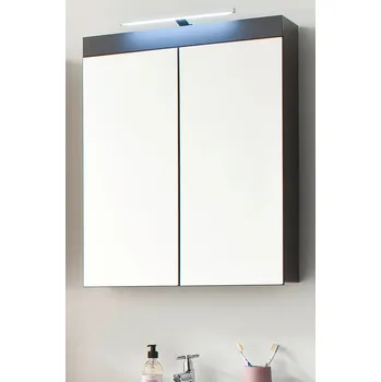 Koupelnový nábytek trendteam Koupelnová zrcadlová skříňka Amanda Grey Melamin/Agave Grey HG.TZ 60 x 77 x 17 cm | 1393-405-21