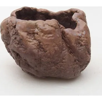 Květináč Keramická Skořápka 7 x 6,5 x 5,5 cm hnědá 153030