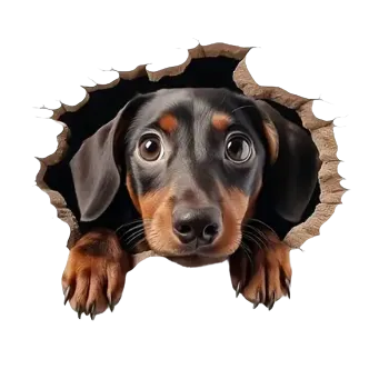 Samolepící dekorace Vinylová samolepka - jezevčík I (8,0 cm)