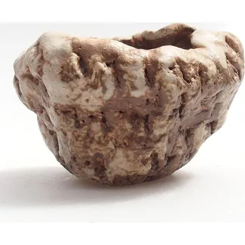 Květináč Keramická Skořápka 5 x 6 x 6 cm zelenohnědá 100007