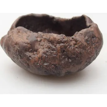 Květináč Keramická Skořápka 7,5 x 7 x 4,5 cm hnědá 152956