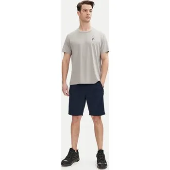 Pánské tričko Aulp T-Shirt Tommy Šedá Regular Fit M