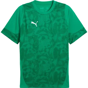 Dres Puma teamCUP Training Jersey 659167-05 Velikost S