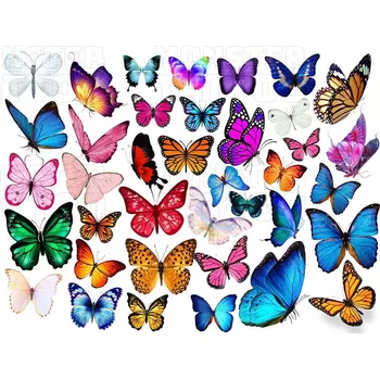 Tetování DOČASNÉ TETOVÁNÍ PRO DĚTI - MOTÝLCI - SADA