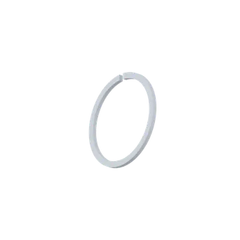 Snap Ring SW 25 - 17459084