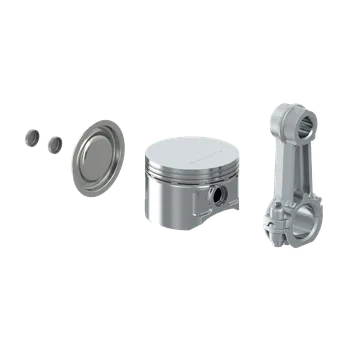 Kit: Piston + Rod - 4127049422