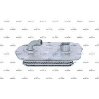 Motor automobilu Olejový chladič, motorový olej NRF 31352