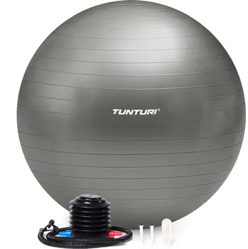 Gymnastický míč Gymnastický míč s pumpičkou TUNTURI zesílený 90 cm Stříbrný